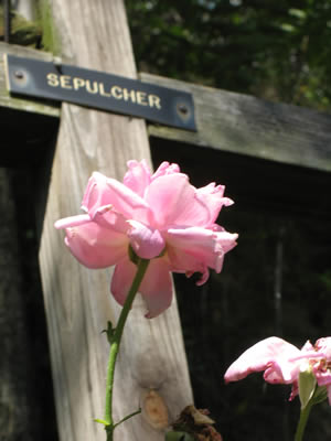 Beautiful flowers are at the Shrine.