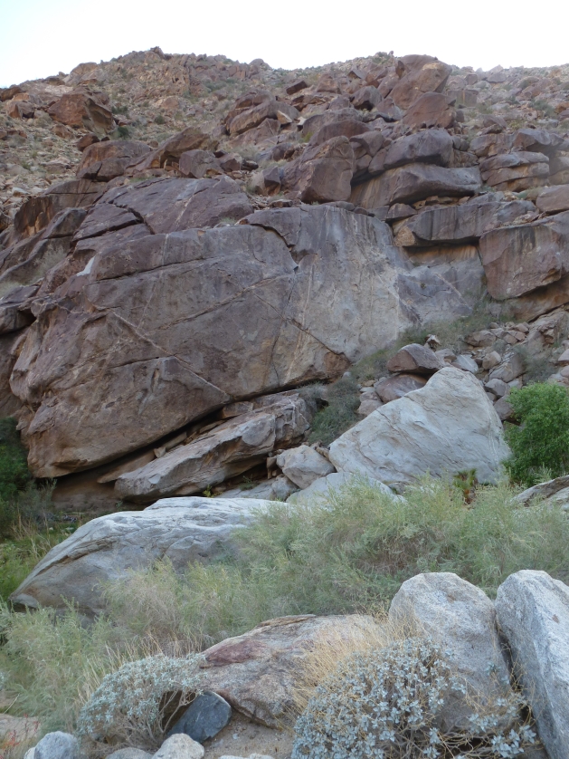 P1040141