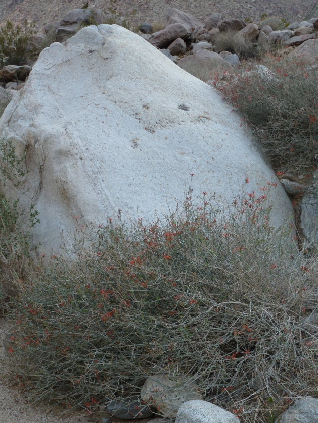 P1040164