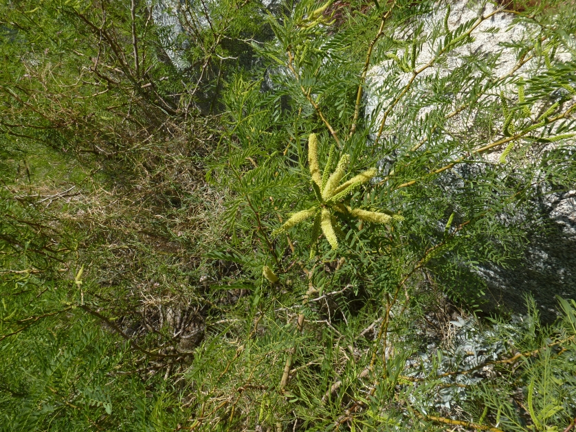 P1040065