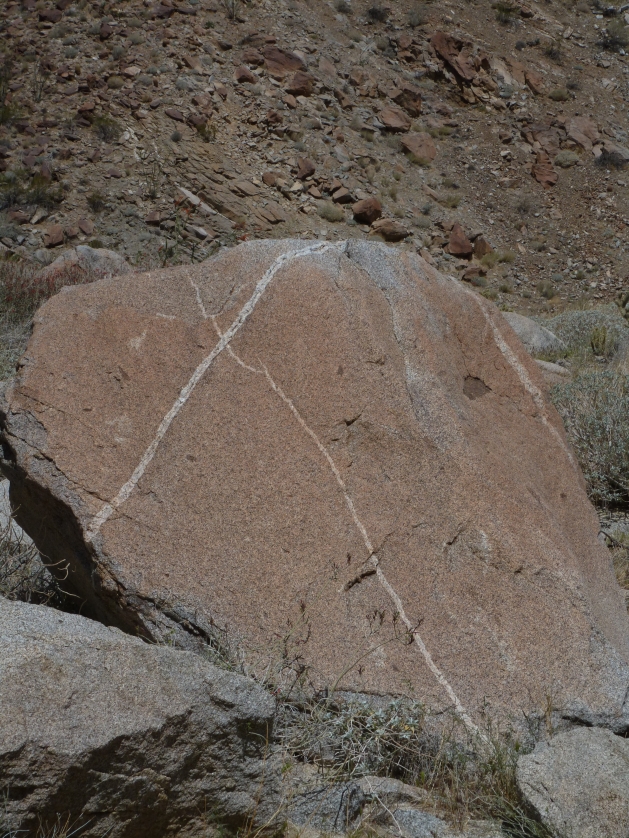 P1040104