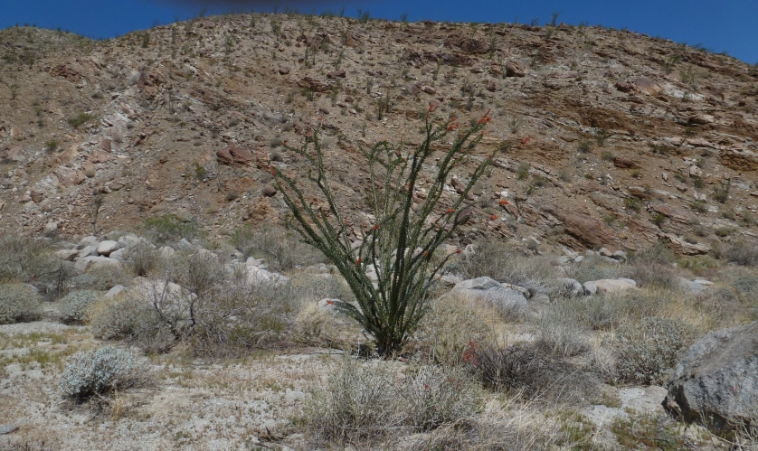 P1040105_t