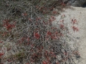 P1040093