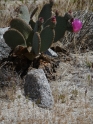 P1040102