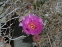 P1040108